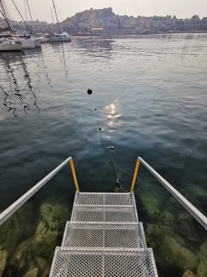 IMG_20230802_085527.jpg