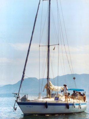 Kiwi Dazzler IV color correct v1UP.jpg