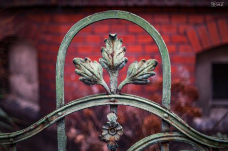 X-Fujinon 55mm f2.2 (003).JPG