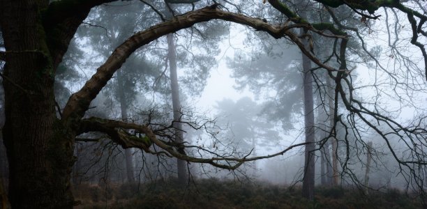 DSC_3464-Pano-1.jpg