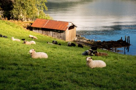  Monday Sept 2025-47.jpg