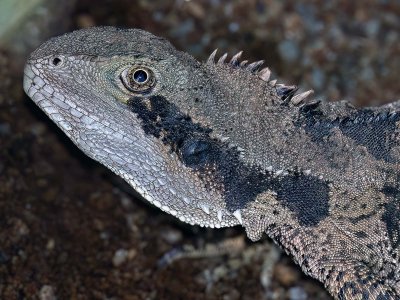 R1 IMG_1282 Crop 1600 FR.jpg