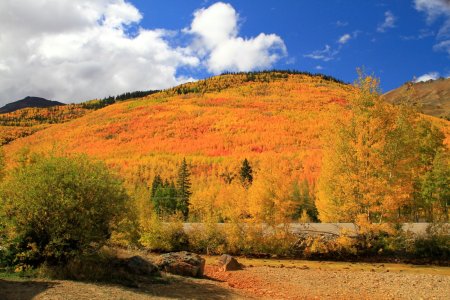 _MG_9271 Mountain of gold resized.JPG _MG_9271 Mountain of gold resized.JPG
