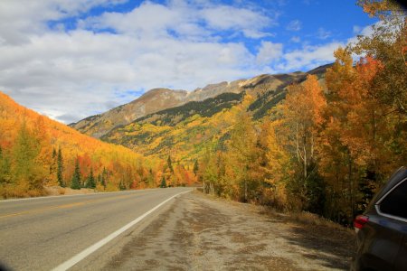 _MG_9279 Golden roadside resized 1.JPG _MG_9279 Golden roadside resized 1.JPG