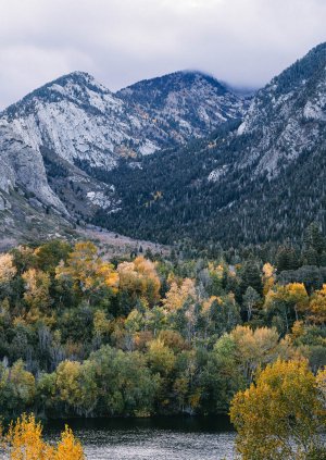 DSC02538.jpg DSC02538.jpg