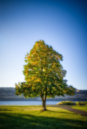 LE_16-2687.jpg LE_16-2687.jpg