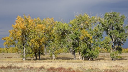 oct10th25a.JPG oct10th25a.JPG