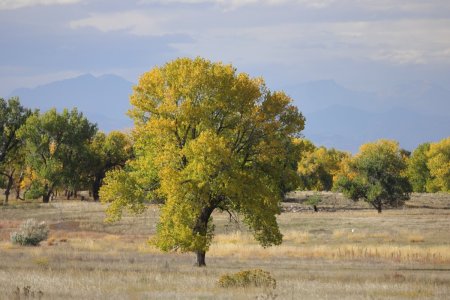 oct10th25b.JPG oct10th25b.JPG