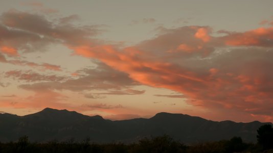 1862 Sierra Vista, AZ.jpg