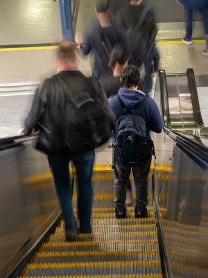 Oct 14-25 (7 of 100).JPG