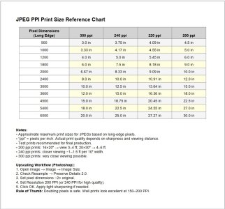 PPI Pixel Print Chart.jpg