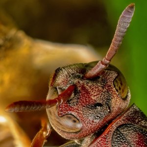 R5m2 R5M25456 Crop 1600 FR.jpg