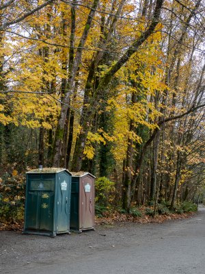 1762646371347.jpeg 1762646371347.jpeg