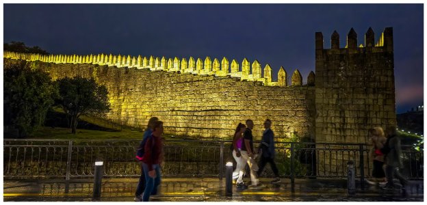 Fernandine-Walls of Porto.jpg