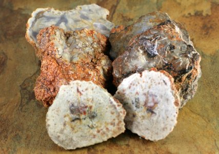 IMG_6063.JPG IMG_6063.JPG