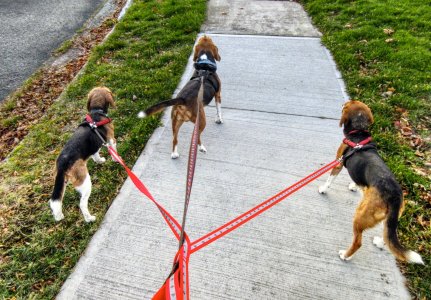 IMG_9096Au (Small).jpg IMG_9096Au (Small).jpg