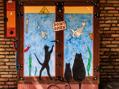 georgia 2024-214.jpeg