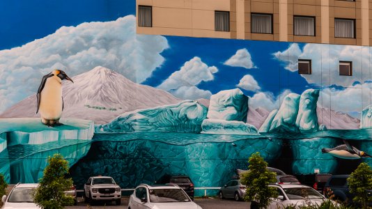 new zealand 2025-498.jpg