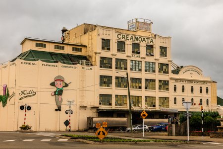 new zealand 2025-762.jpg