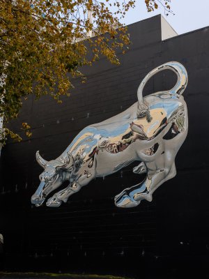 new zealand 2025-777.jpg