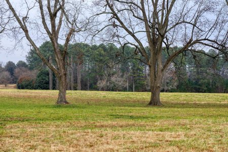 Canon 5D4 EF24-70F4LIS 3R5A7523-s.jpg