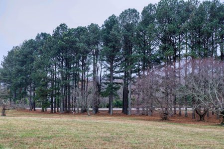 Canon 5D4 EF24-70F4LIS 3R5A7525-s.jpg