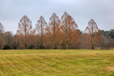 Canon 5D4 EF24-70F4LIS 3R5A7526-s.jpg