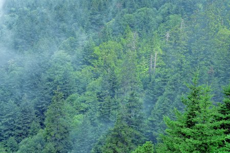 Fujifilm X-T3 0XT31976-s.jpg