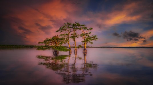 BS9A8965-Edit as Smart Object-1 copy-4.jpg