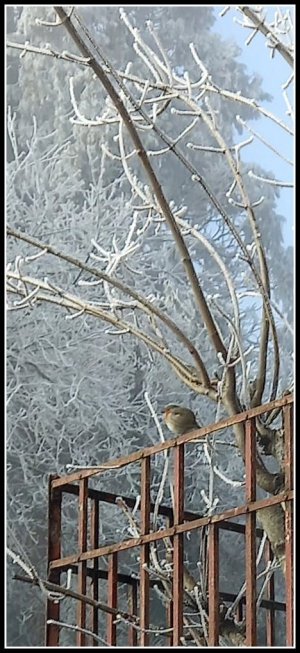 IMG-20251230-WA0004 RG.jpg