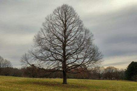 Canon 5D4  EF24-70F4LIS 3R5A7554-s.jpg