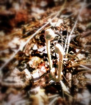 6360.94734_04.jpg 6360.94734_04.jpg