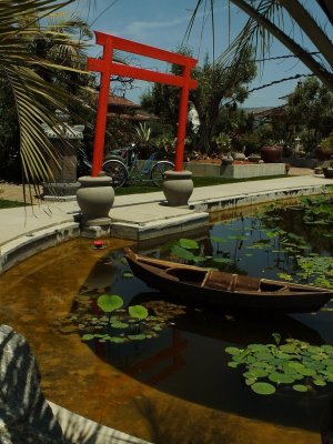 Pond3701.jpg Pond3701.jpg