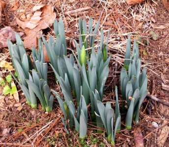 IMG_0004.jpg IMG_0004.jpg