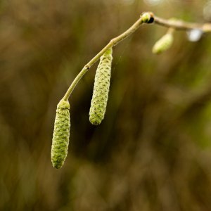 CyclePath05Jan26_1427.jpg CyclePath05Jan26_1427.jpg