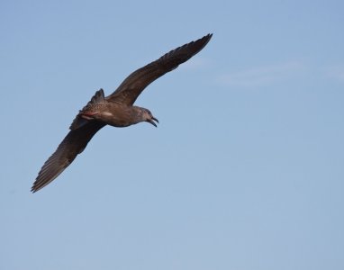 IMG_0023.jpeg