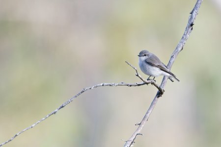 _23A9001 (2)-DxO_DeepPRIME XD2s-Edit.jpg