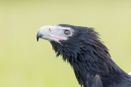 _23A7297-DxO_DeepPRIME XD2s-Edit.jpg