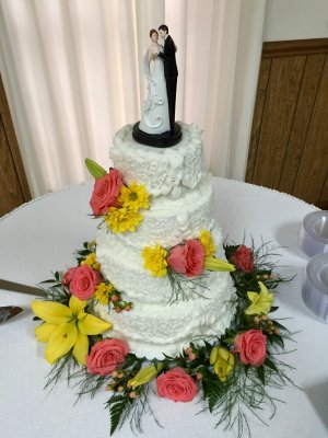 IMG_0229.jpeg IMG_0229.jpeg