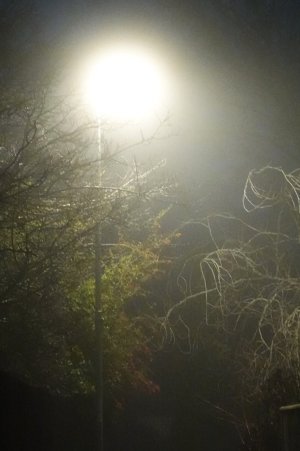 DSC03428.JPG DSC03428.JPG