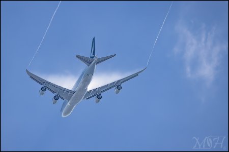 55906_flight.jpg