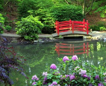 IMGP7643.jpg IMGP7643.jpg