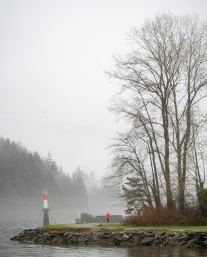 Jan 13-26 (38 of 41).jpg