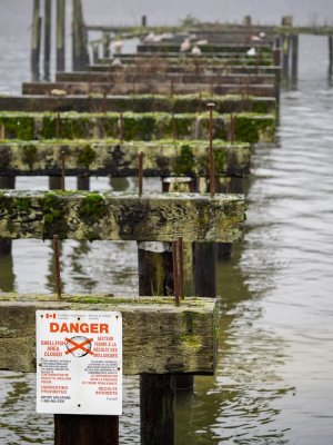 Jan 13-26 (34 of 41).jpg