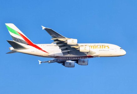 R5m2 R5M26610 Crop 1600.jpg