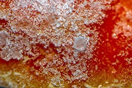 A6406664-f.jpg A6406664-f.jpg