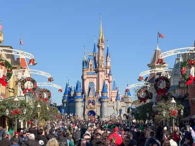 IMG_7313.jpg