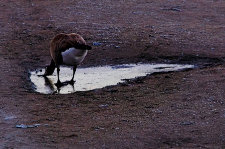 2026.01.24 341.jpg 2026.01.24 341.jpg