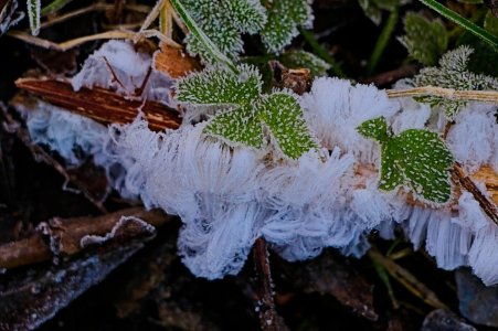 2026.01.24 275.jpg 2026.01.24 275.jpg