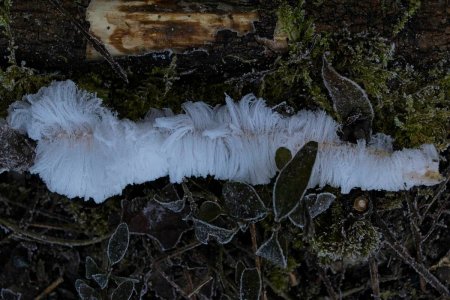 2026.01.24 287.jpg 2026.01.24 287.jpg